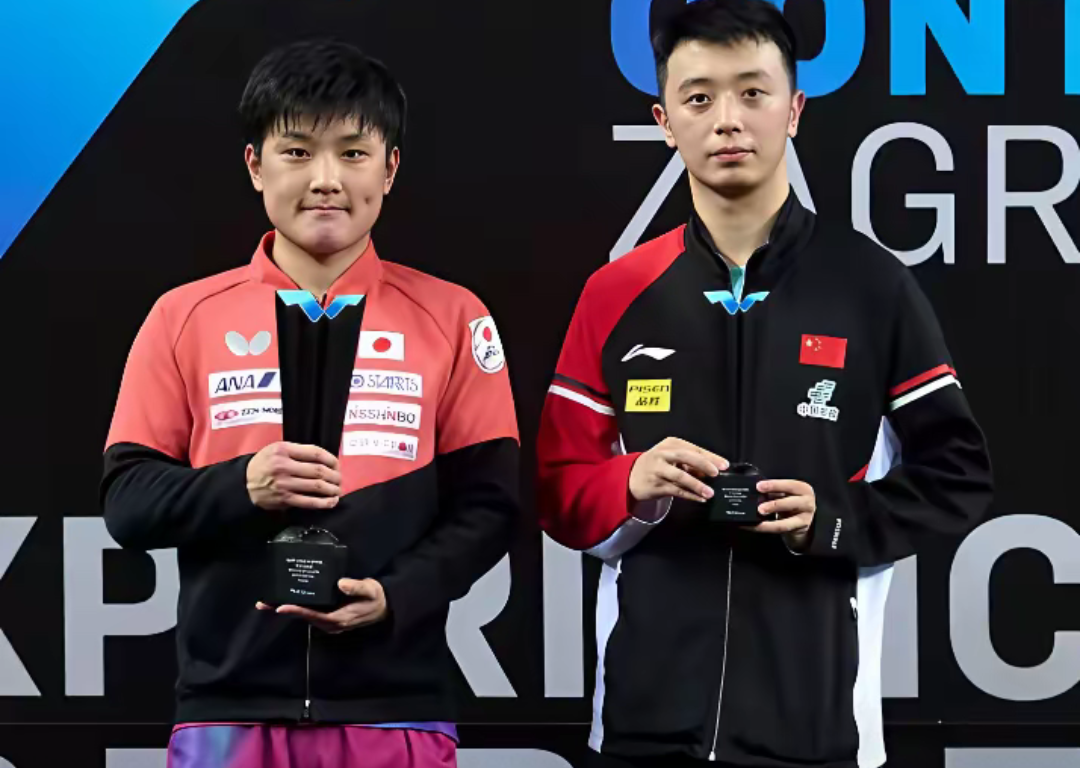 包含中国乒乓球队力克法国乒乓球队，张本智和制霸全场的词条