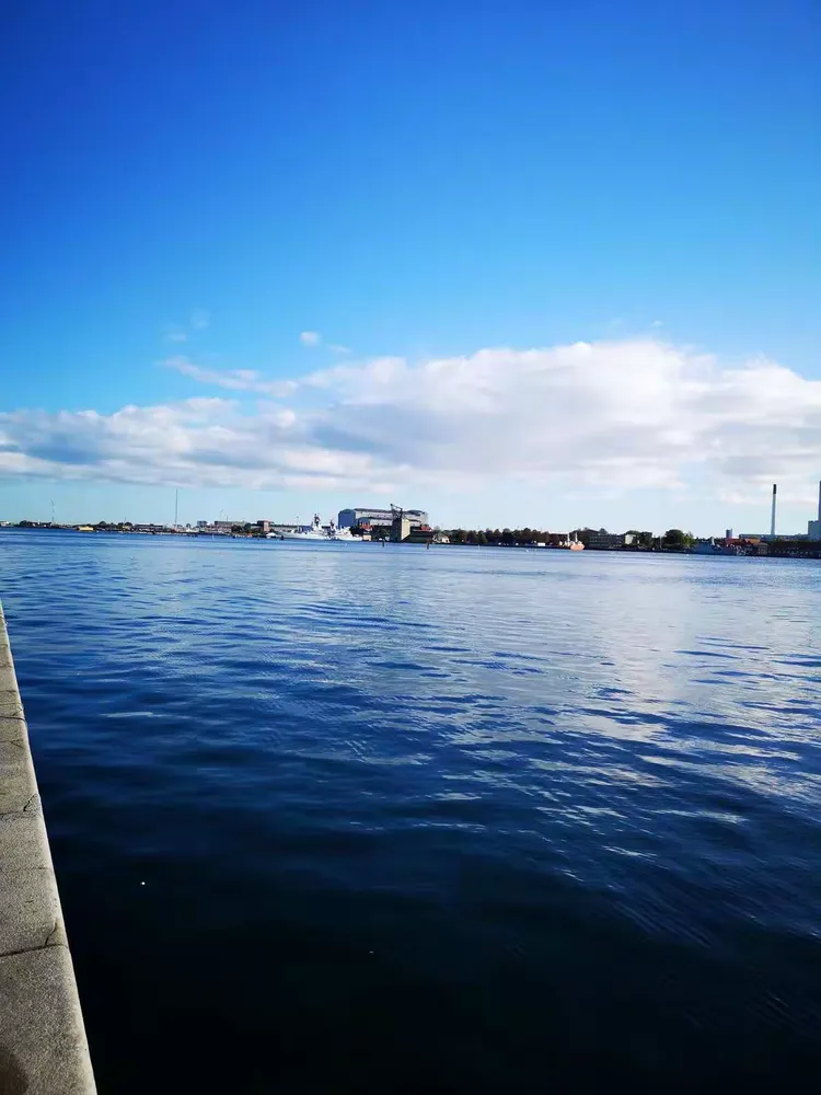 瑞典绝杀丹麦，若日尼奥惊艳四座的简单介绍