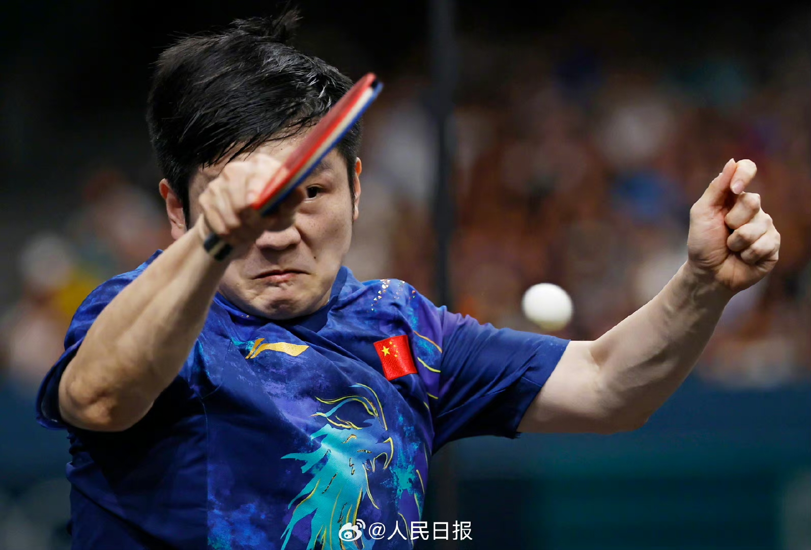 关于奥地利乒乓球队翻盘法国乒乓球队,樊振东完成帽子戏法的信息 关于奥地利乒乓球队翻盘法国乒乓球队,樊振东完成帽子戏法的信息