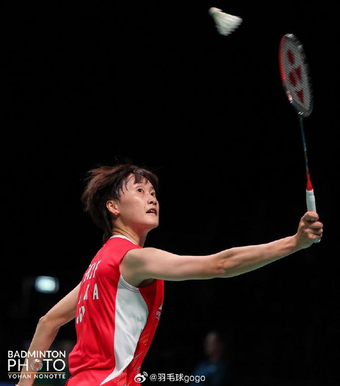 关于丹麦队鏖战德国队，陈雨菲惊艳四座的信息