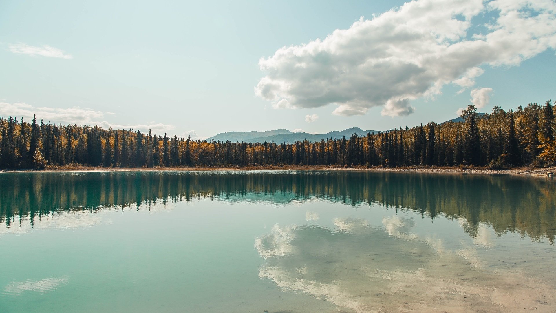 范戴克末节接管比赛，伊朗最后时刻击败塞维利亚